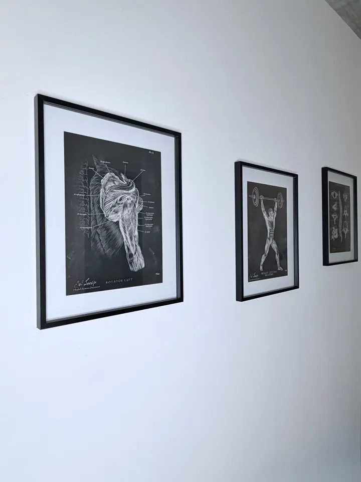 Anatomische Illustrationen im Training House